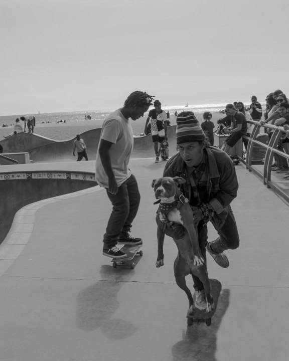 événements skateboarders